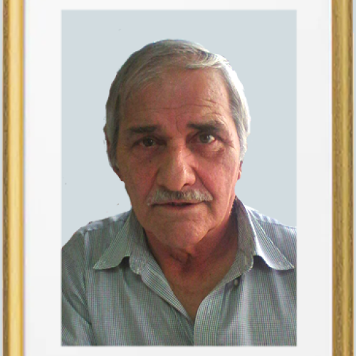 Joao-Ivo-da-Silva-Dinis