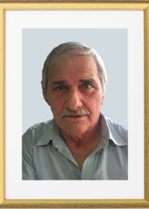 Joao-Ivo-da-Silva-Dinis