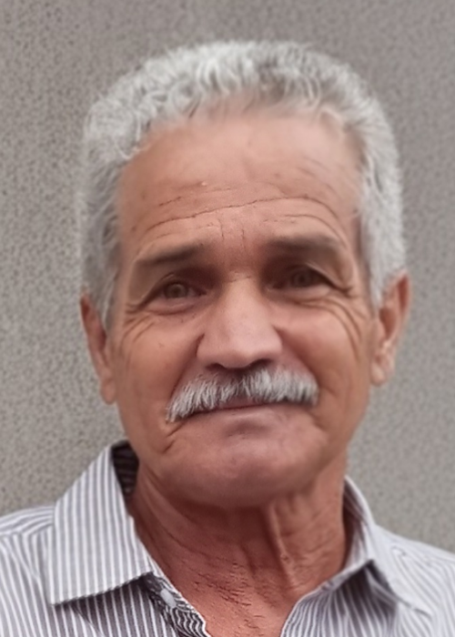 Luiz-Manuel-Vieira-de-Menezes